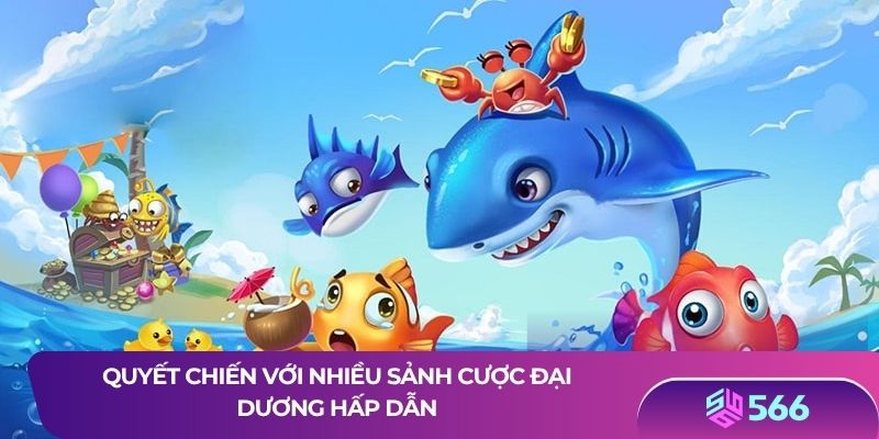 Quyết chiến với nhiều sảnh cược đại dương hấp dẫn