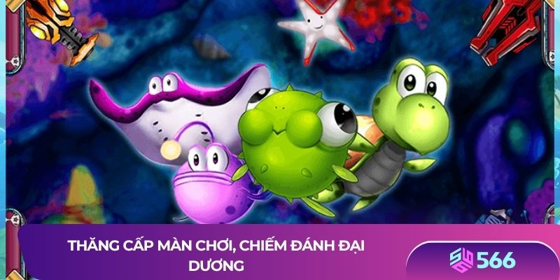 Thăng cấp màn chơi, chiếm đánh đại dương